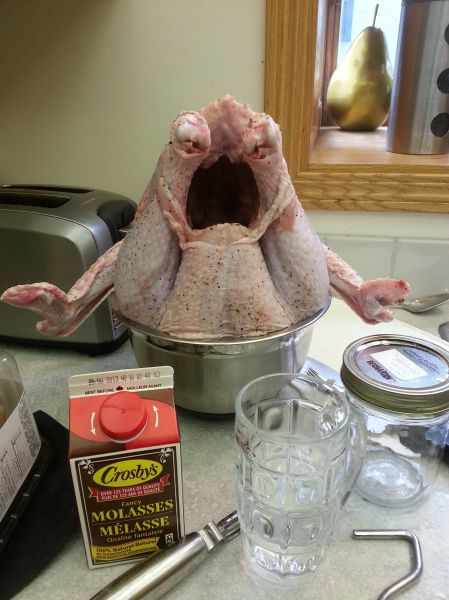 Morning Picdump