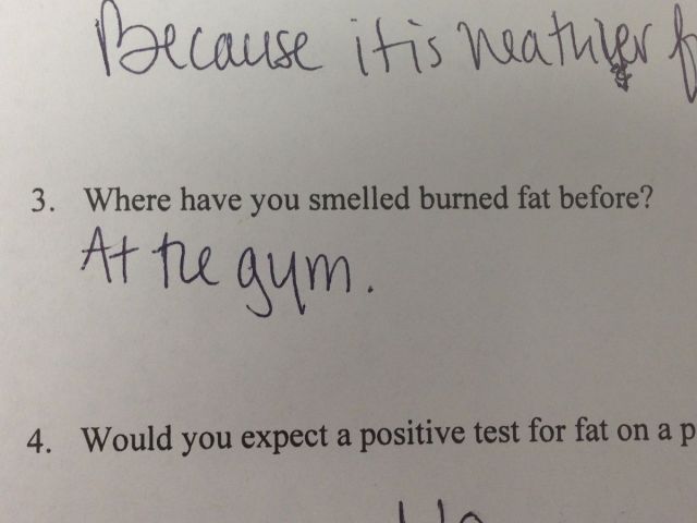 Morning Picdump