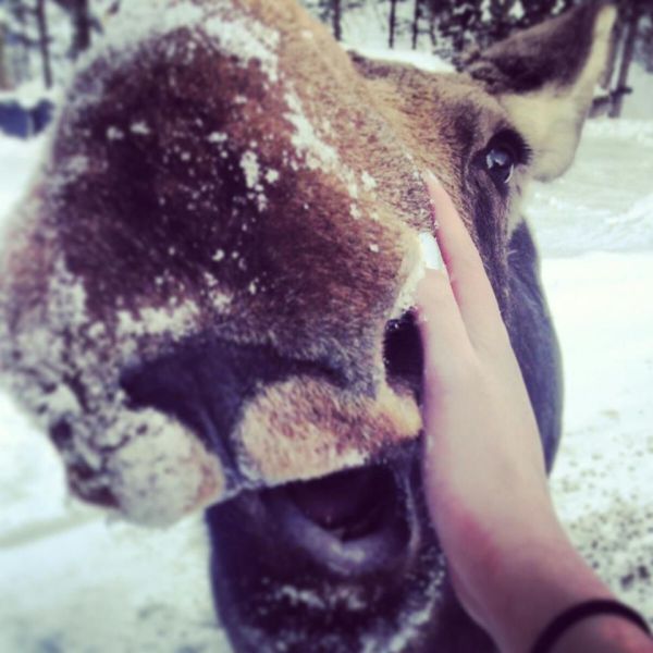 Daily Picdump