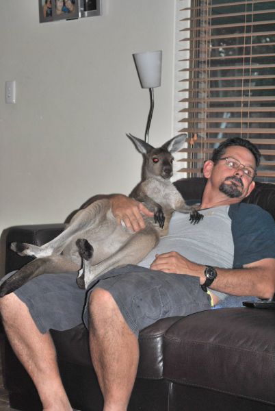 Daily Picdump