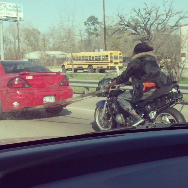 Daily Picdump