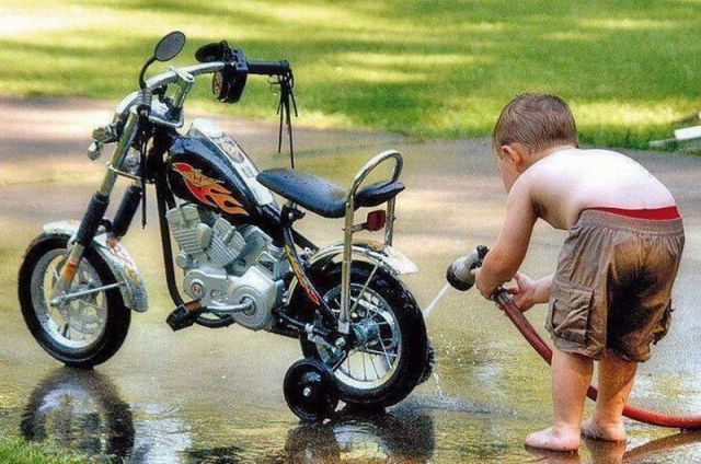 Morning Picdump