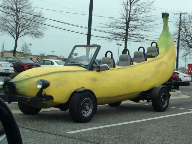 Morning Picdump