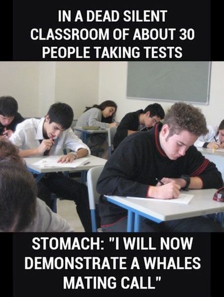 Morning Picdump