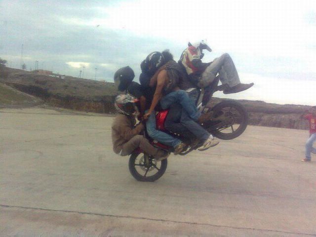 Morning Picdump