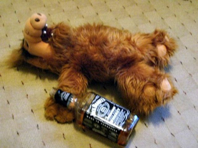 Morning Picdump