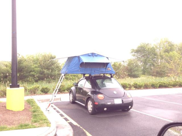 Daily Picdump [WEEKEND EDITION]