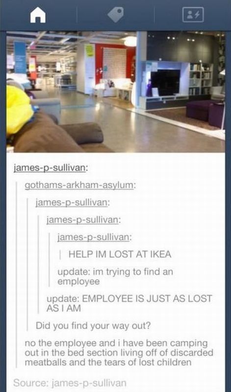 Daily Picdump [WEEKEND EDITION]