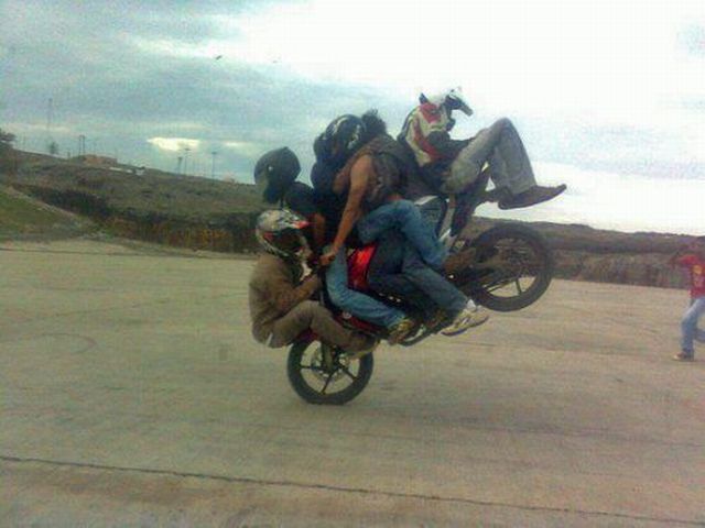 Morning Picdump