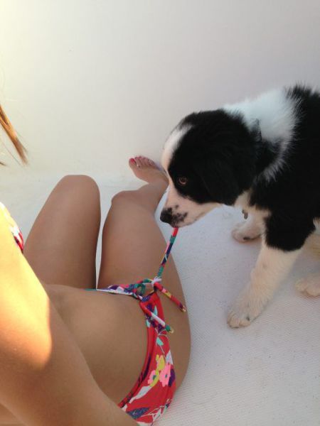 Morning Picdump