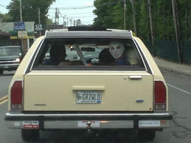 Morning Picdump