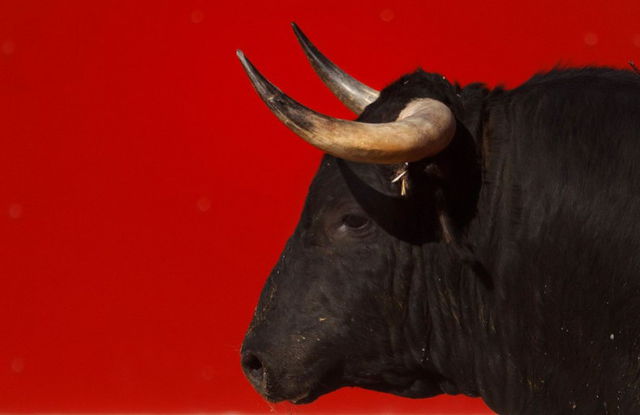 Spanish Bull Racing Ends in Injury