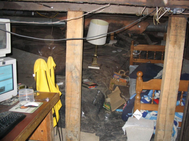 Video Gamers Who Live in a Pigsty