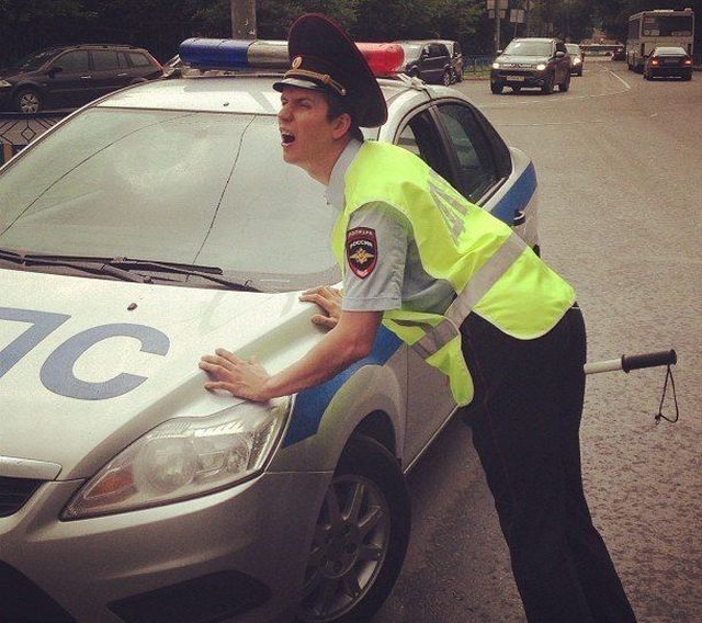 Morning Picdump