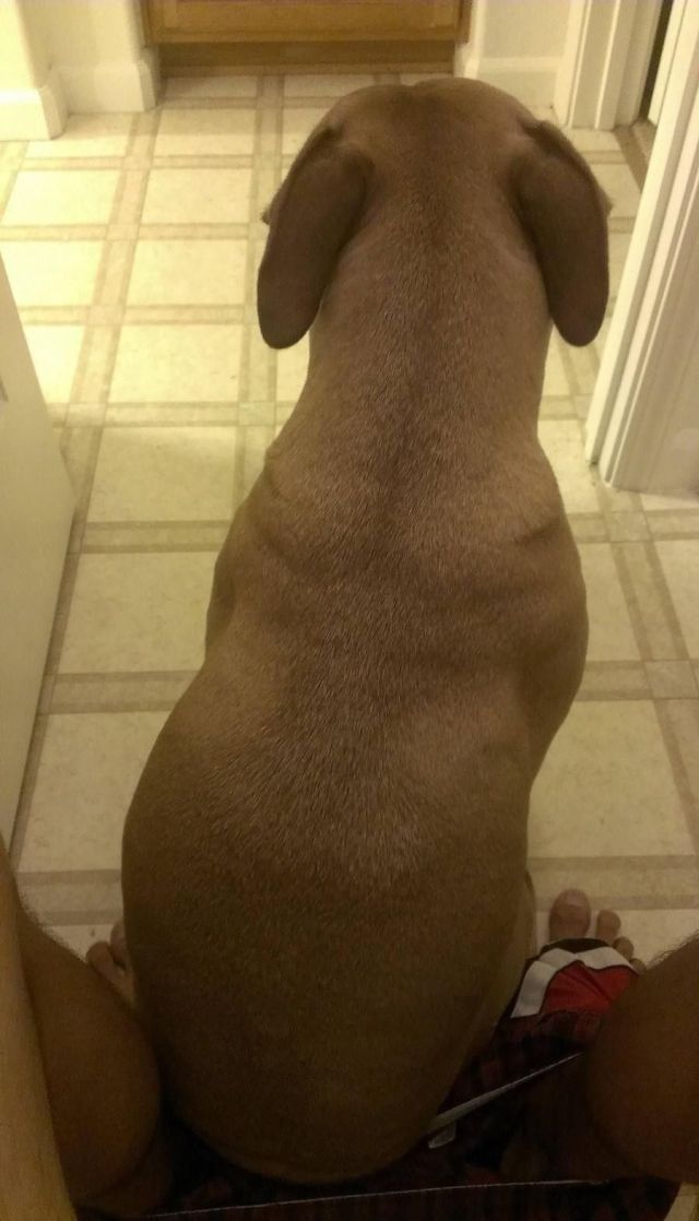 Morning Picdump