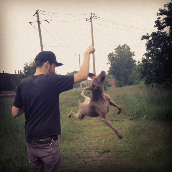 Morning Picdump