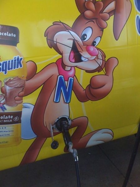 Morning Picdump