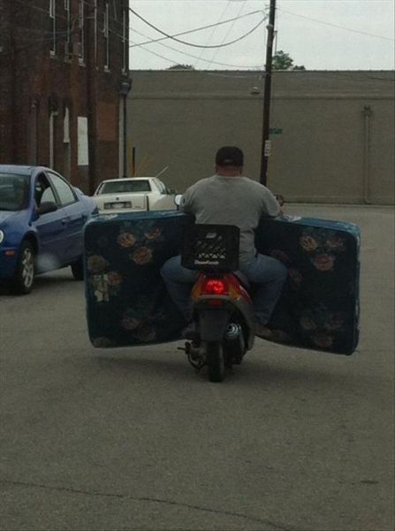 Morning Picdump