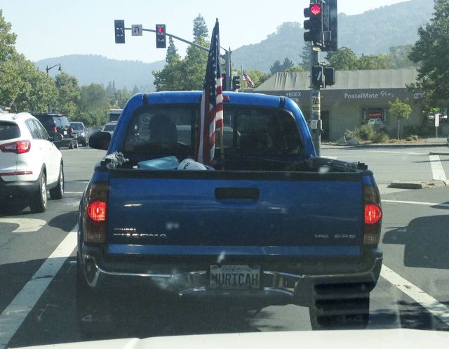 Morning Picdump