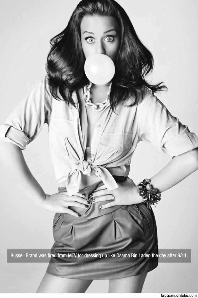 Facts are Best Served with Hot Girls