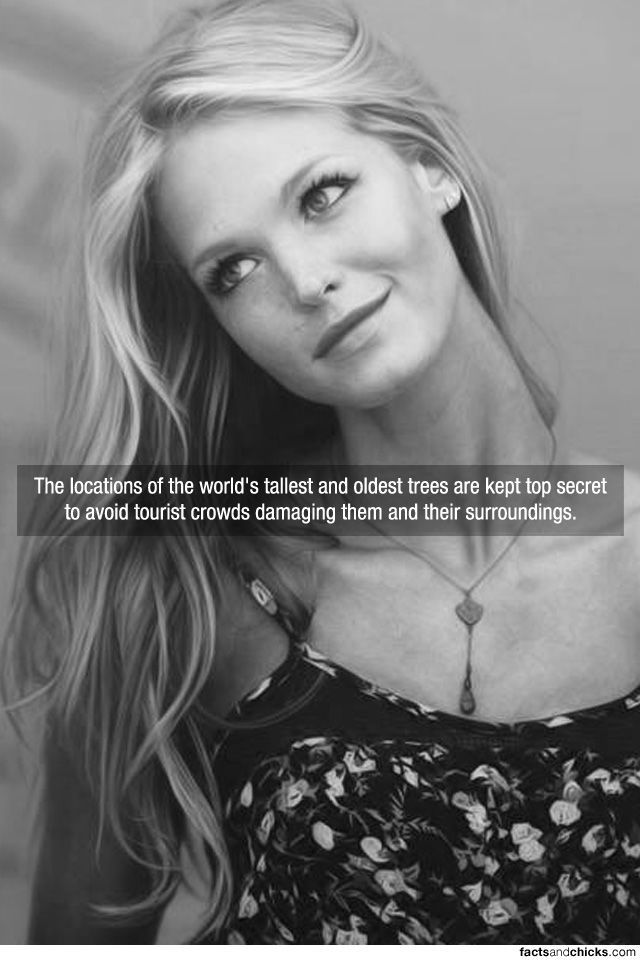 Facts are Best Served with Hot Girls