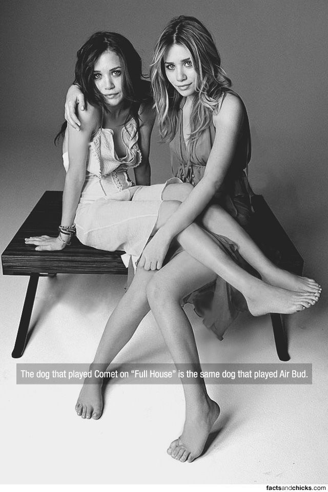 Facts are Best Served with Hot Girls