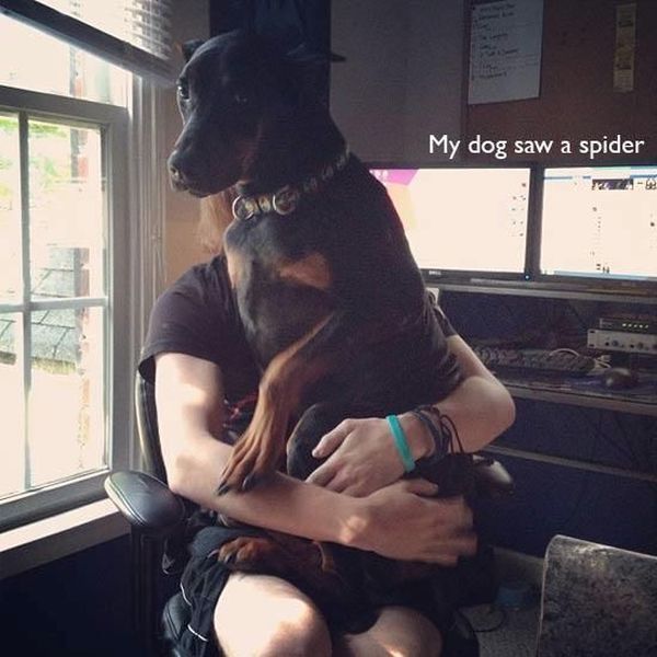 Morning Picdump