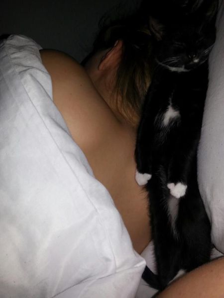 Morning Picdump