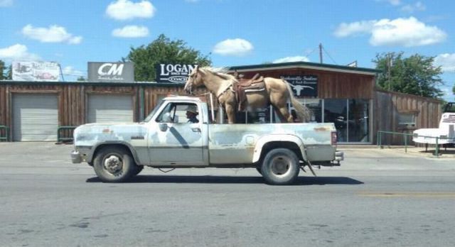 Morning Picdump