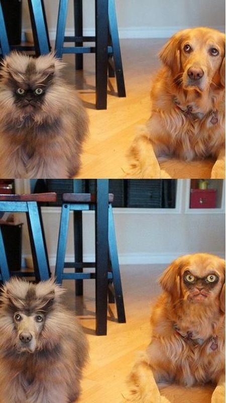 Morning Picdump