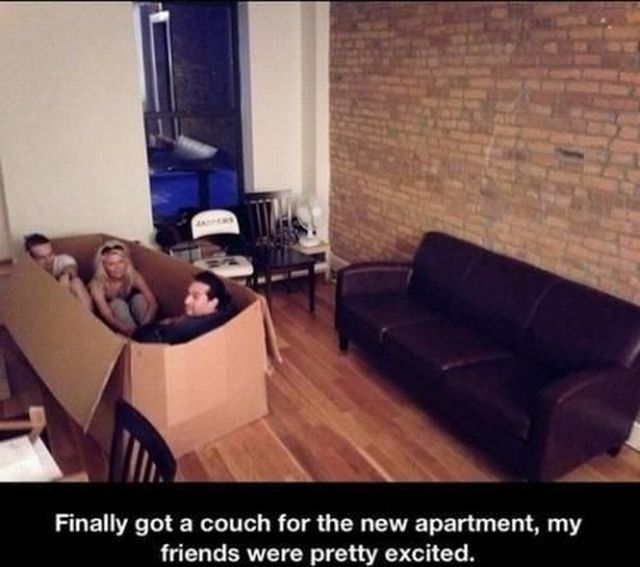 Morning Picdump