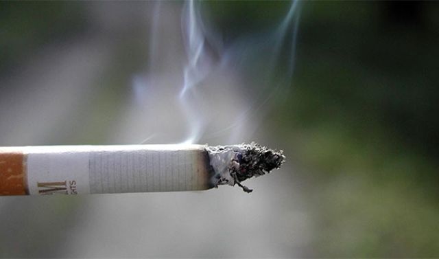 The Top Ways to Increase Your Chances of Dying Young