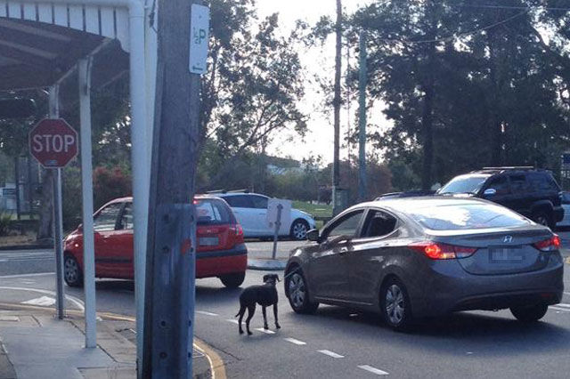 Times You Just Want to Hang Your Head in Shame