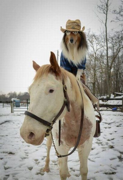 Morning Picdump