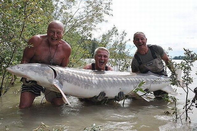 Morning Picdump