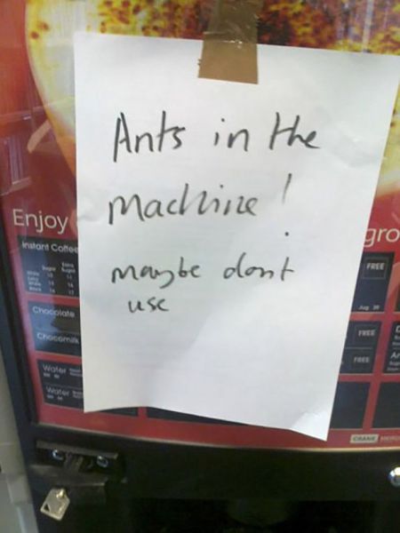 Morning Picdump