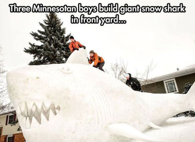 Morning Picdump