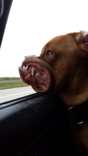 Morning Picdump