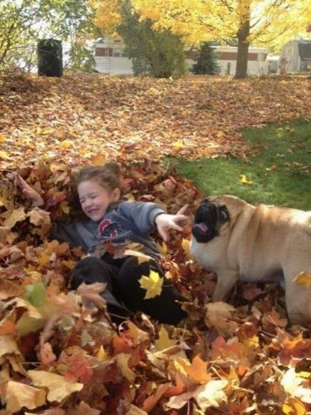 Morning Picdump