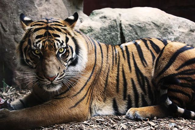 Magnificent Nature Photography