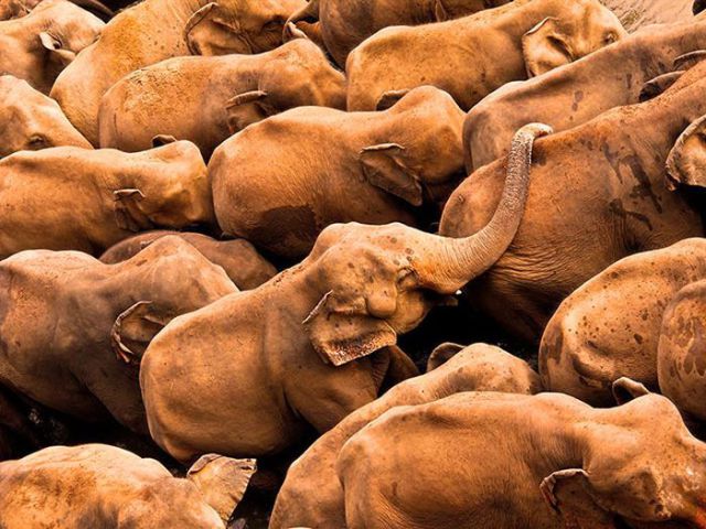 Magnificent Nature Photography