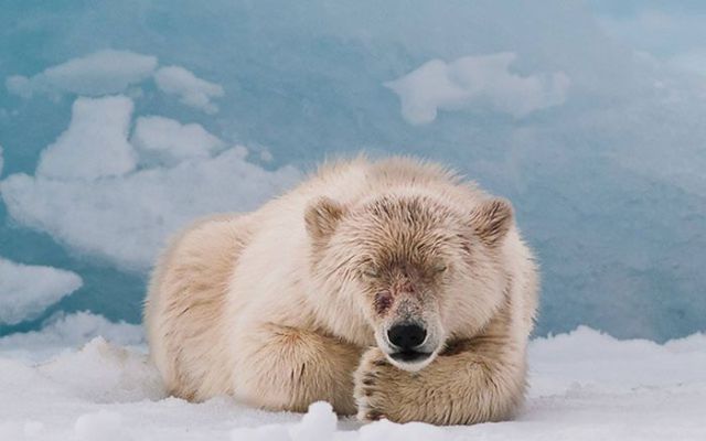 Magnificent Nature Photography