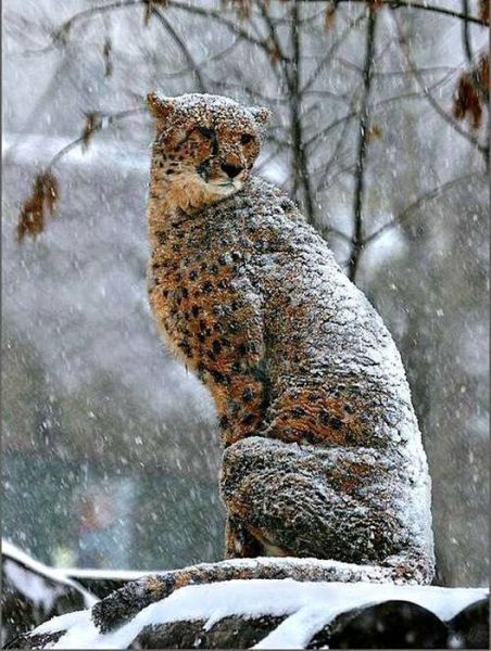 Magnificent Nature Photography