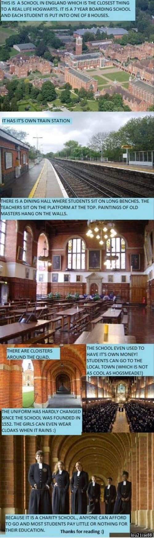 Weird Things That Are Absolutely Real!