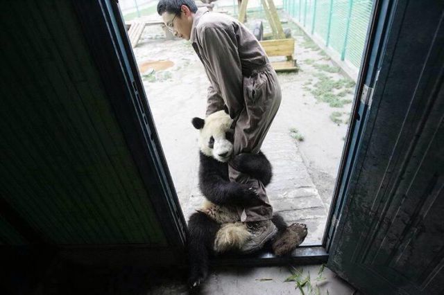 Bizarre and Beautiful Pics That Are Pretty Interesting