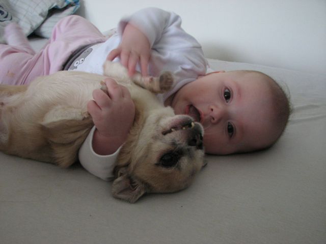 Morning Picdump