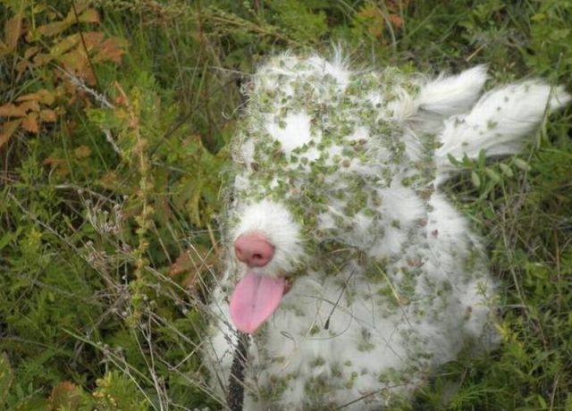 Morning Picdump