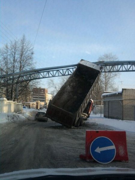 Morning Picdump
