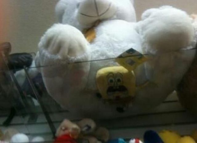 Morning Picdump