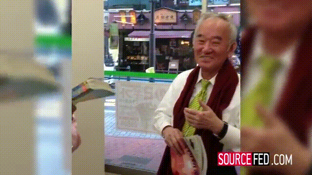 Sexy GIFs of the Sensational Jessica Nigri